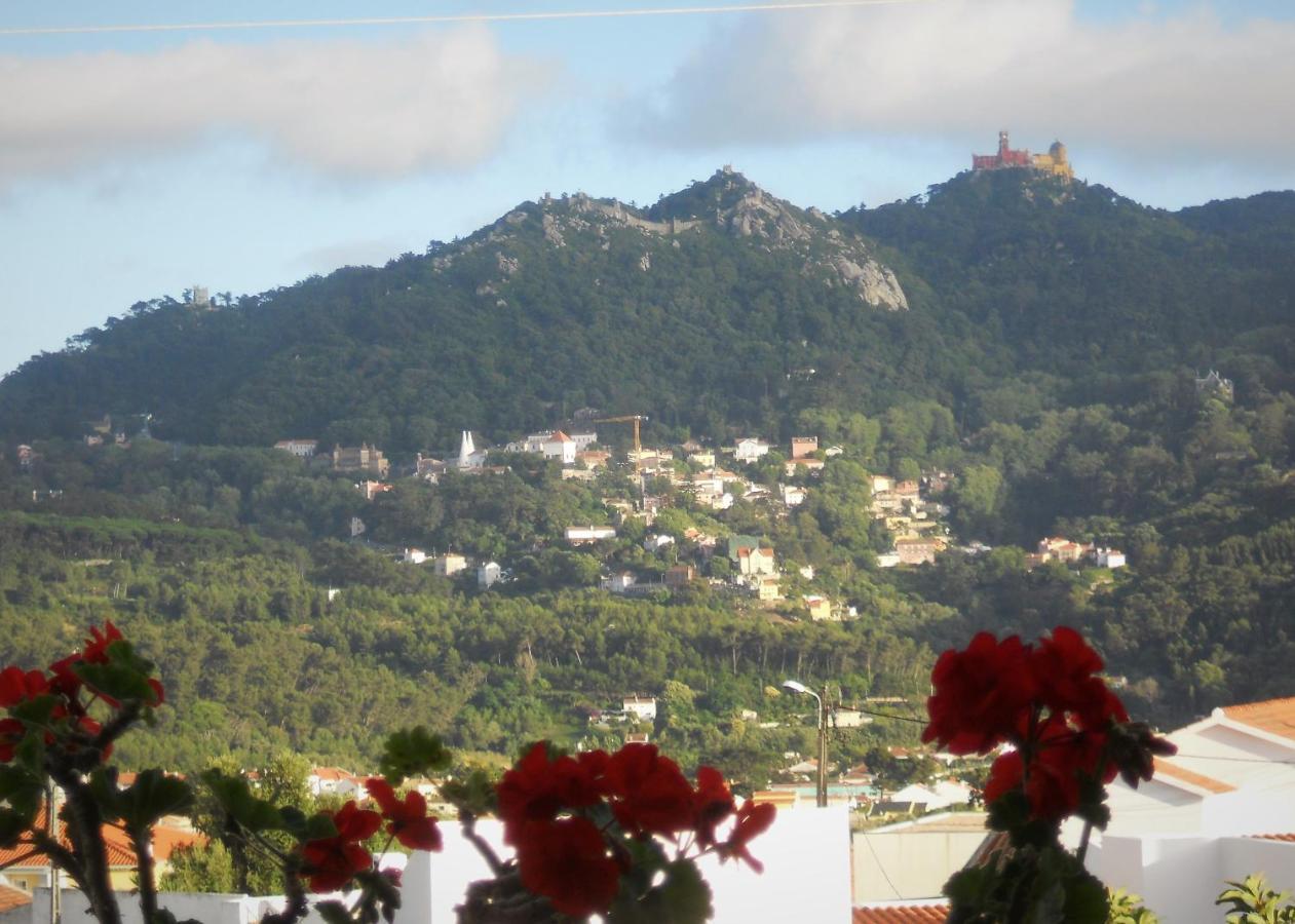 Bed and Breakfast Galo Preto - Urban Agriculture - Healthy Food Sintra Exterior foto