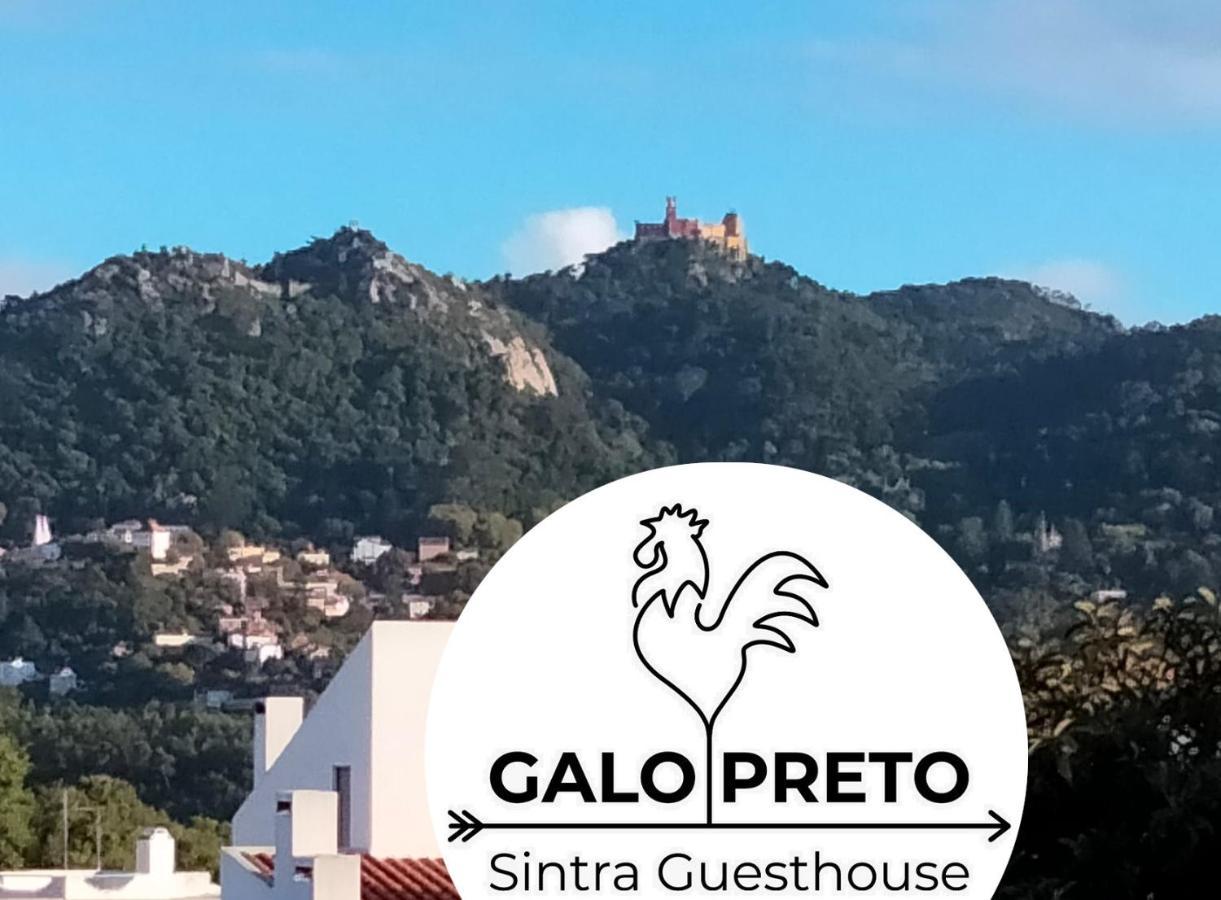 Bed and Breakfast Galo Preto - Urban Agriculture - Healthy Food Sintra Exterior foto
